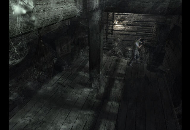 File:Attic (12).jpg