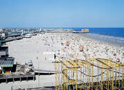 Wildwood