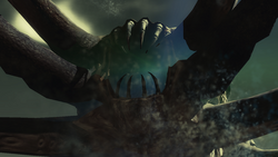 Kraken