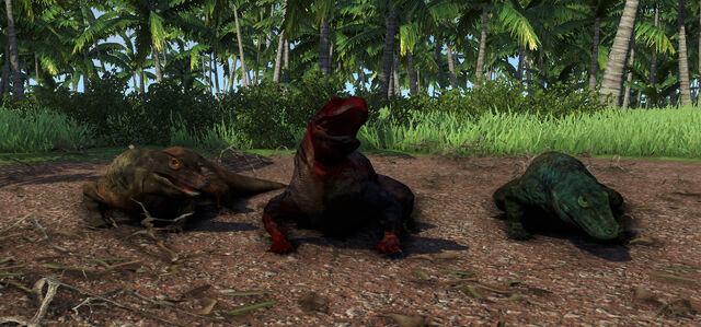 Plik:Komodo.jpg