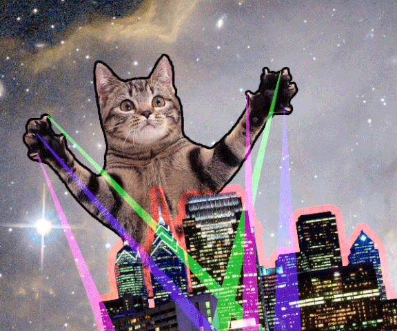 File:Cm-27552-05086255d04879.gif