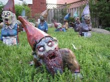 Zombie-gnomes