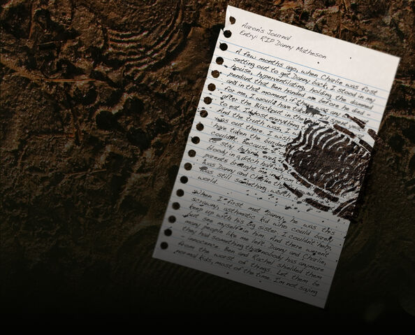 File:111-aarons-journal.jpg