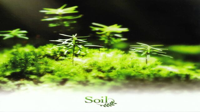 File:Soil Album.jpg