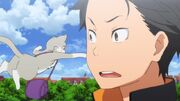 Episode 1.jpg