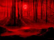 Darkforest.jpg
