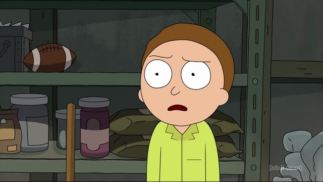 File:S3e1 morty concerned.png