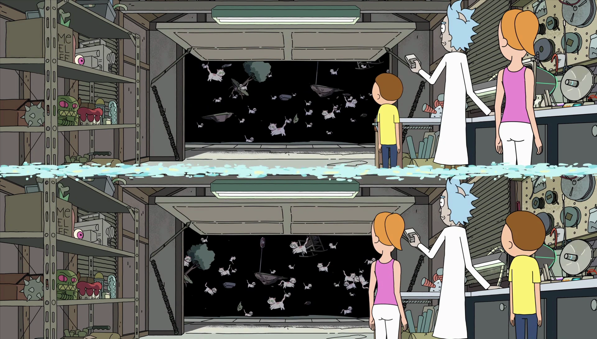 Image S2e1 schrodinger's cat.png Rick and Morty Wiki FANDOM powered by Wikia