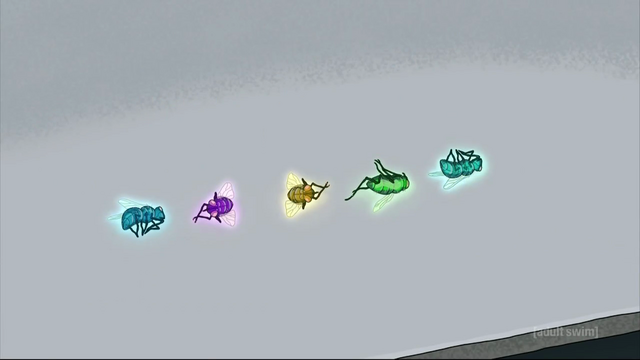 File:S3e1 Fly Code.png