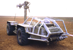 Sandcat