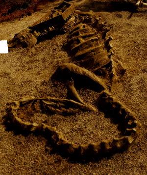 Skeleton on Not-Furya