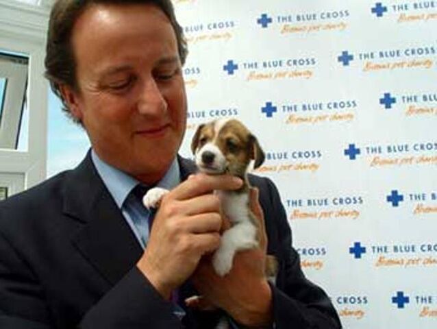 File:Cameron.jpg