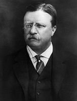 File:TheodoreRoosevelt.jpg