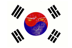 Korean StarCraft Flag