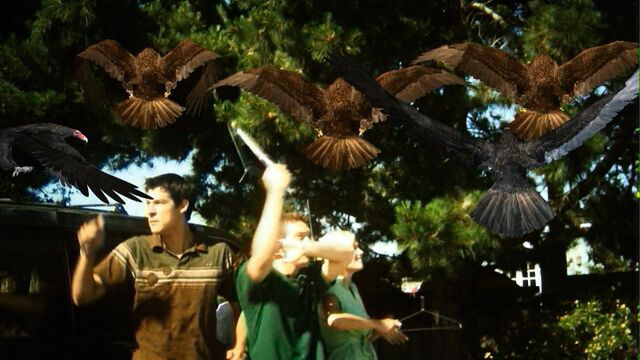File:BIRDEMICwire.jpg