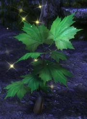 Albidis Plant Node