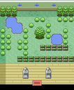 RijonAdv - Azalea Gym