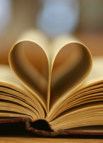File:Heart.jpg
