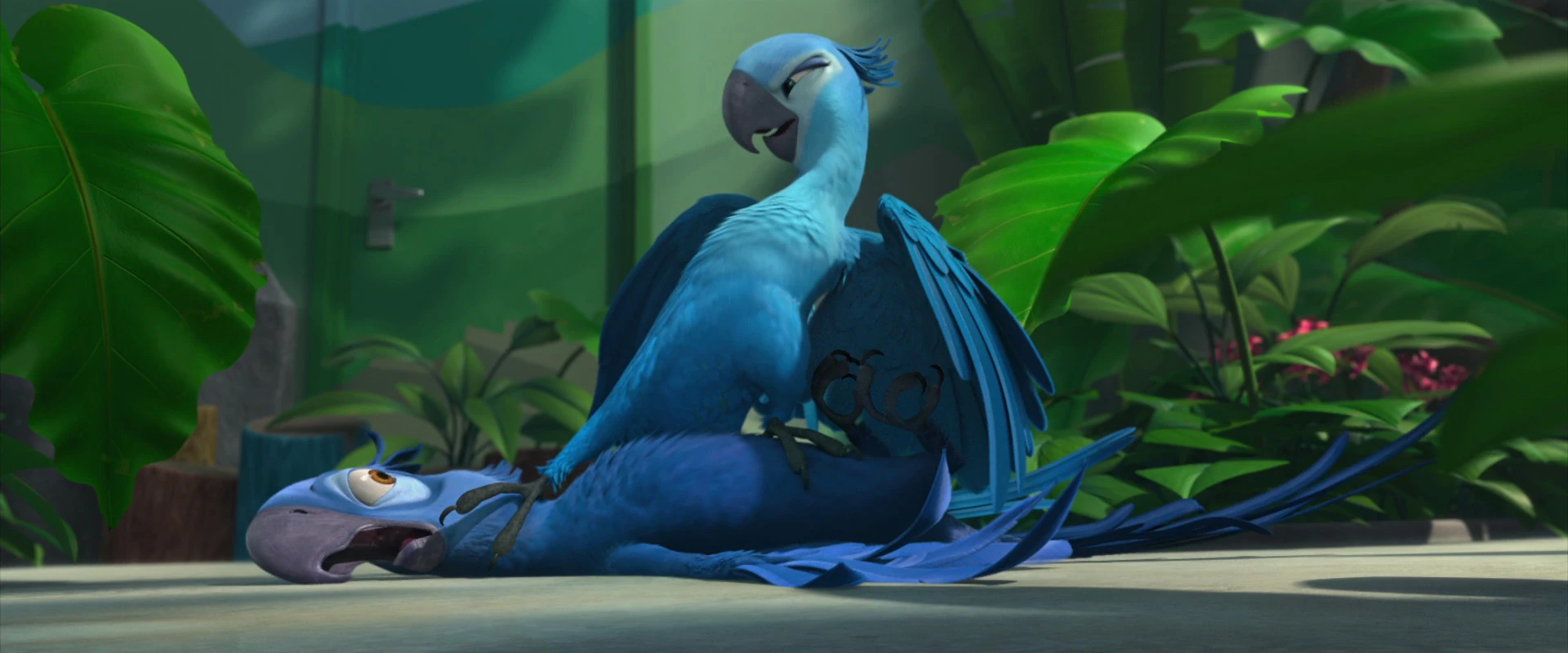 Image Rio Wiki FANDOM powered by Wikia