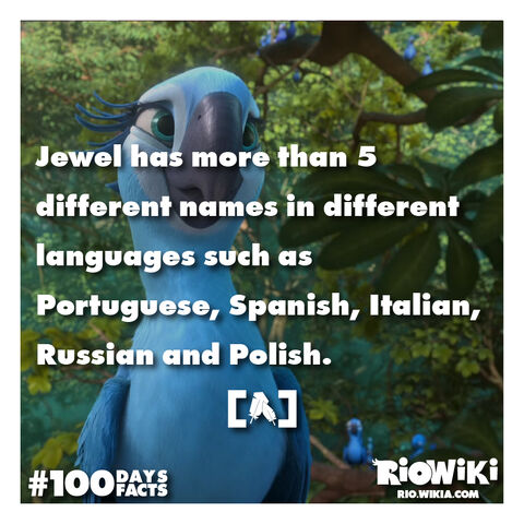 File:Rio-Wiki-100Days100Facts-009.jpg