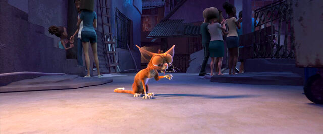 Plik:Rio-(movie)-wallpaper-Cat.jpg