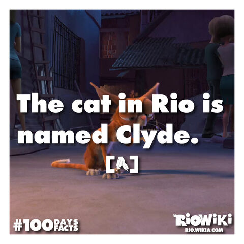 File:Rio-Wiki-100Days100Facts-021.jpg