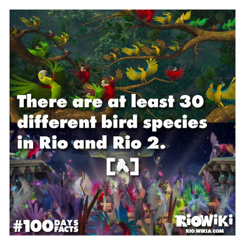 File:Rio-Wiki-100Days100Facts-074.jpg