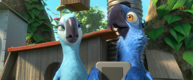 File:Blu and the GPS.jpg