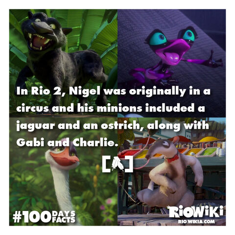 File:Rio-Wiki-100Days100Facts-020.jpg