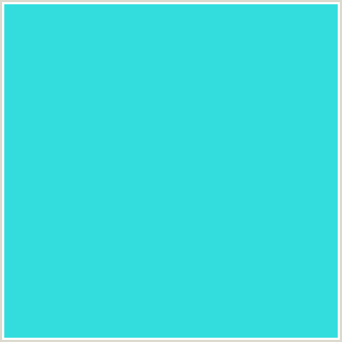Image - 34DDDD-Turquoise.png | Rio Wiki | FANDOM powered ...