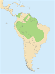 795px-Distribution Ara ararauna.svg