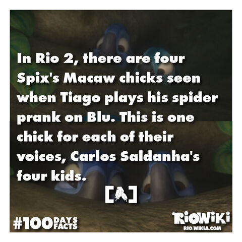File:Rio-Wiki-100Days100Facts-063.jpg