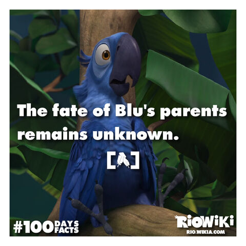 File:Rio-Wiki-100Days100Facts-092.jpg