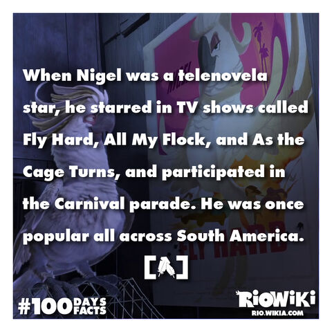 File:Rio-Wiki-100Days100Facts-027.jpg