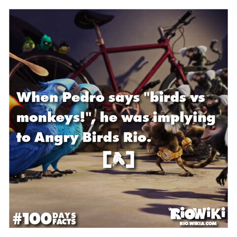 File:Rio-Wiki-100Days100Facts-081.jpg