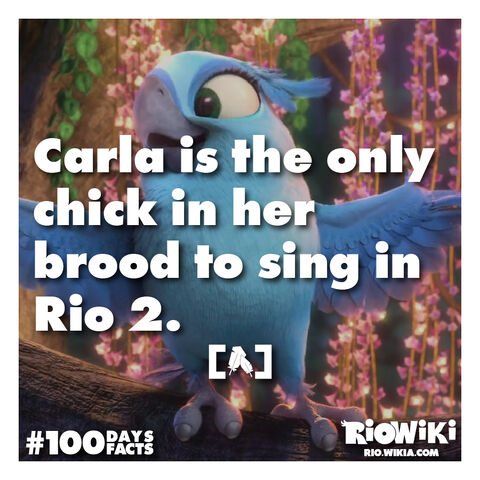 File:Rio-Wiki-100Days100Facts-026.jpg