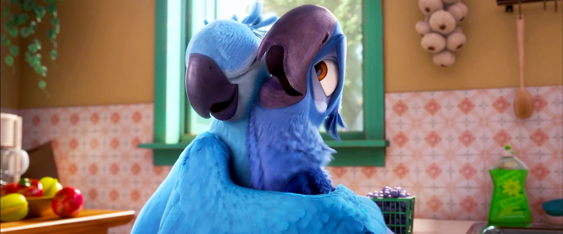 Bild - Rio-2-Official-Trailer-3-4.jpg | Rio Wiki | FANDOM powered by Wikia