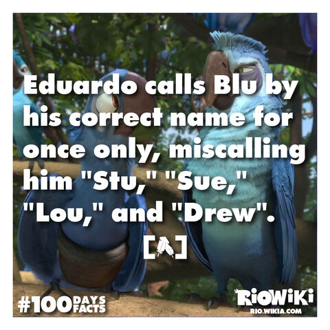 File:Rio-Wiki-100Days100Facts-024.jpg