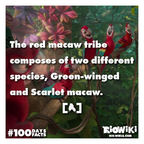 File:Rio-Wiki-100Days100Facts-034.jpg