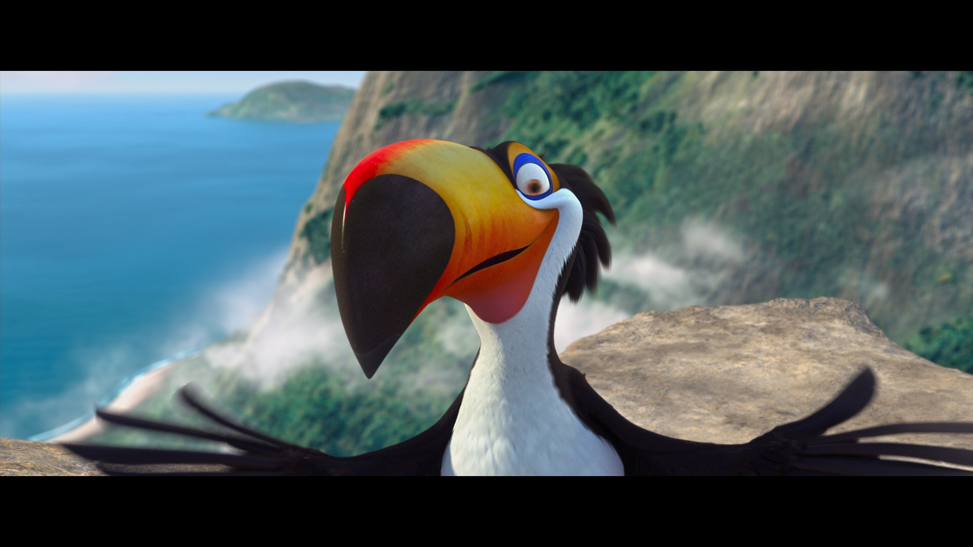 rio cockatoo