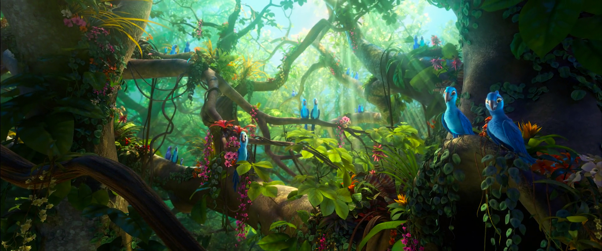 Spix's Macaw Tribe | Rio Wiki | FANDOM powered by Wikia