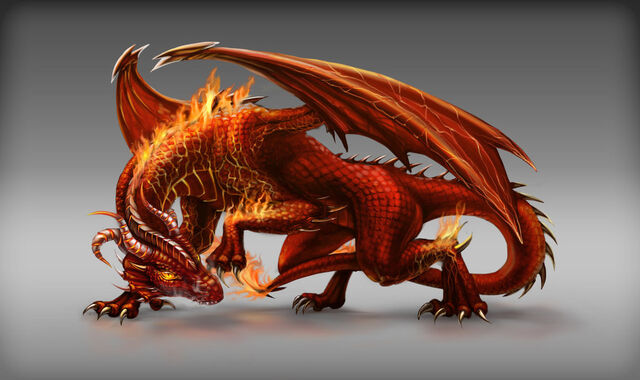 File:Dragon Image-10.jpg