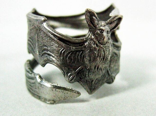 File:Von Richter's Ring.jpg