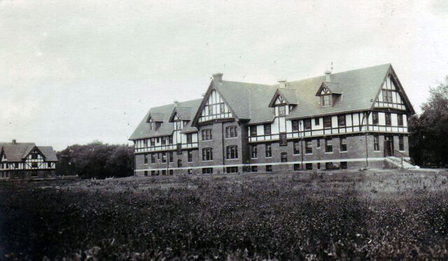 File:Insane-asylum.jpg