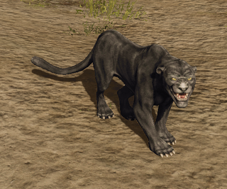 R2 Cr Panther