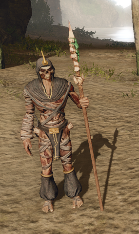 File:R2 Cr Warrior.png