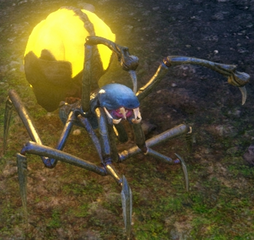 File:Jungle-Spider.png