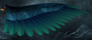 LI Parrot's Wing