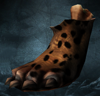 LI Jaguar Paw