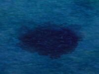 Oil Patch (Sea)